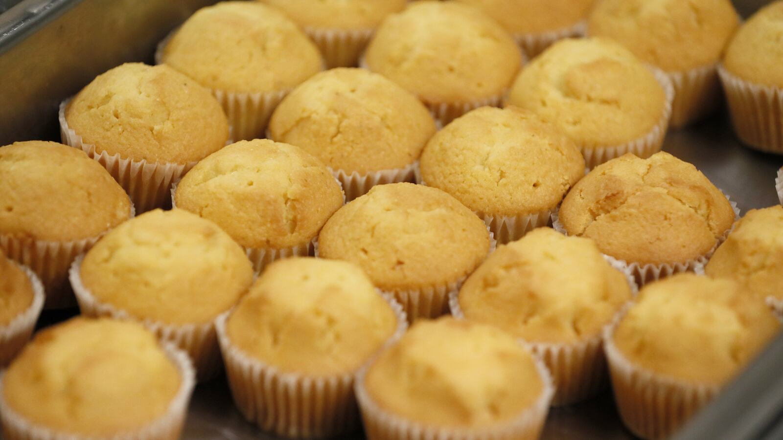 muffins_gmzyi2