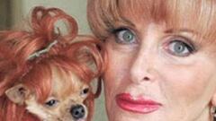 articles/2010/06/18/conchita-the-chihuahua-and-more-rich-dogs/richest-dogs---conchita_hdfk3j