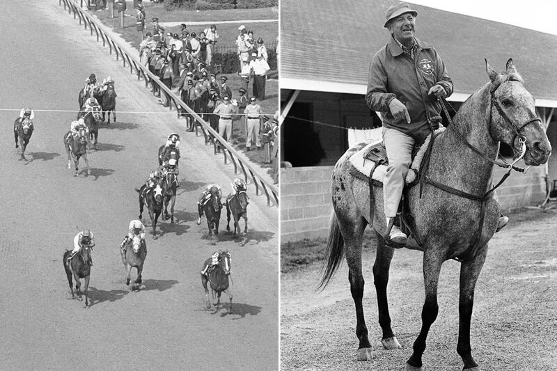galleries/2012/05/04/steven-spielberg-mc-hammer-and-more-stars-whove-owned-kentucky-derby-horses-photos/stars-derby-horses-klugman_kc4dan