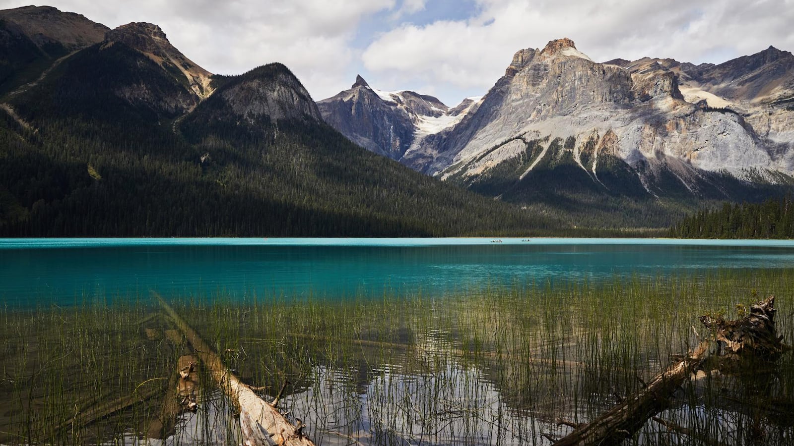 210912-Ross-overcrowded-Banff-tease_llmeb9