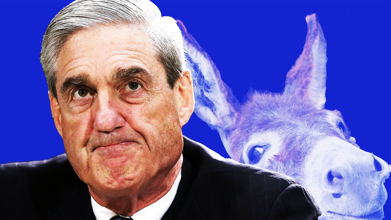 190304-rawnsley-rabbithole-mueller-tease_pji9na