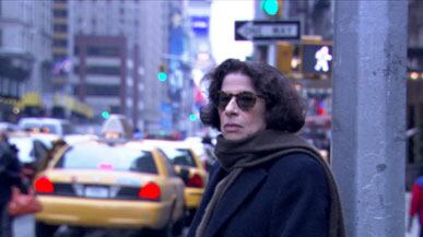 articles/2010/11/20/public-speaking-martin-scorseses-fran-lebowitz-doc/fried-fran-lebowitz_142481_ndi5iu