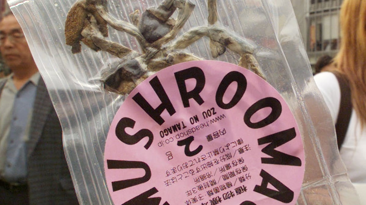 cheats/2016/05/17/magic-mushrooms-lift-severe-depression/160517-mushrooms-depression-cheat_w6ziu5