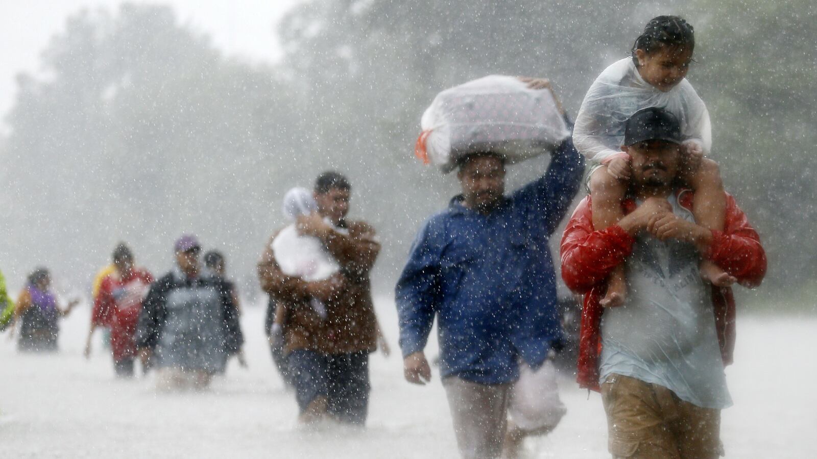 170828-tuner-cheat_ffhjot