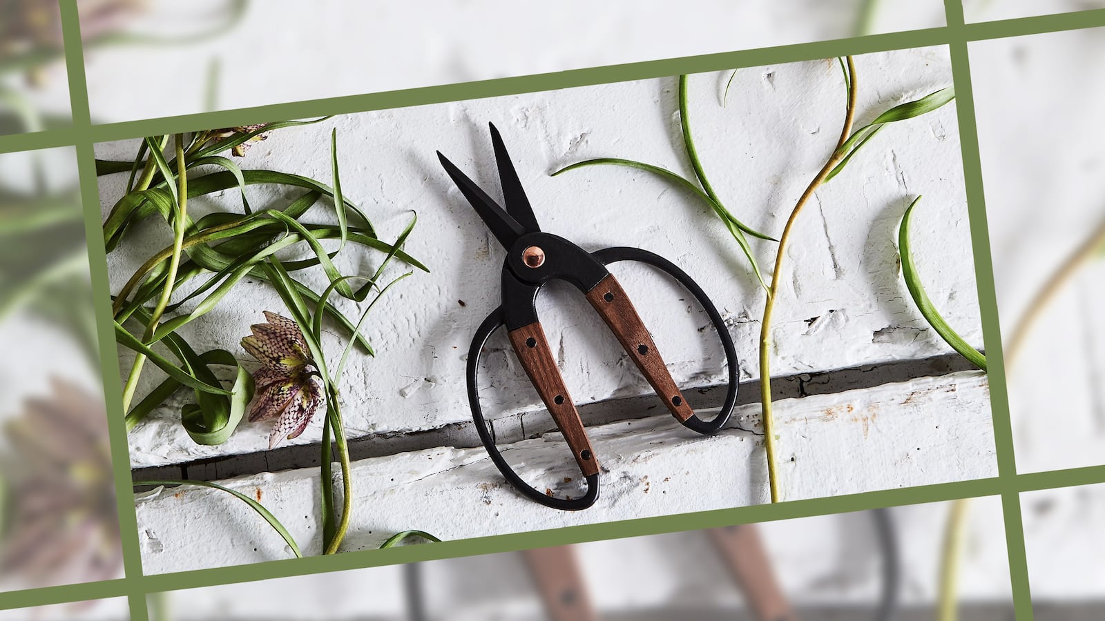 garden-scissors_b5d8cm