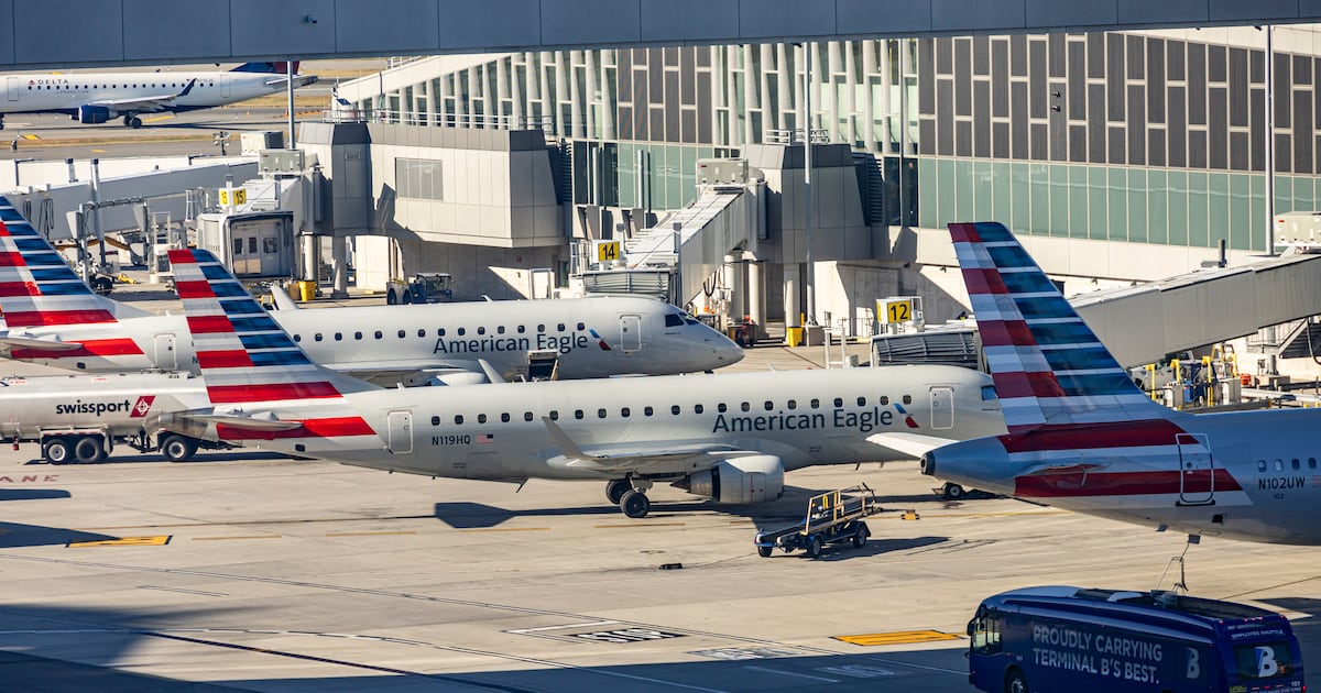 Bird Strike Forces American Airlines Flight to Abort Takeoff