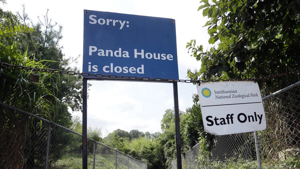 cheats/2012/09/23/newborn-baby-panda-dies/baby-panda-dies-national-zoo-cheat_fcnwnv