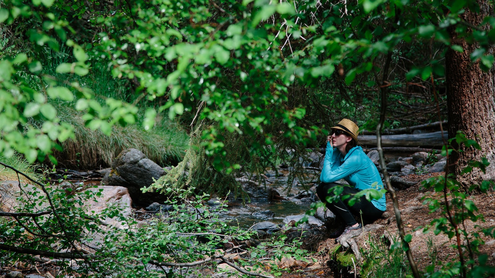 90829-Brooklyn-Forest-bathing-tease_c6kwzv