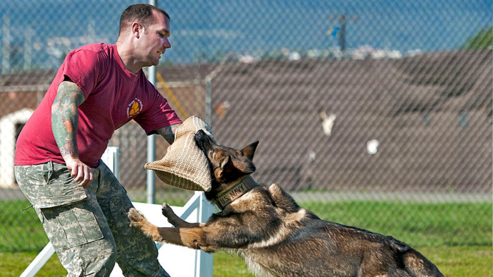 181111-us-airman-stabbed-tokyo-cheat_trbvxn