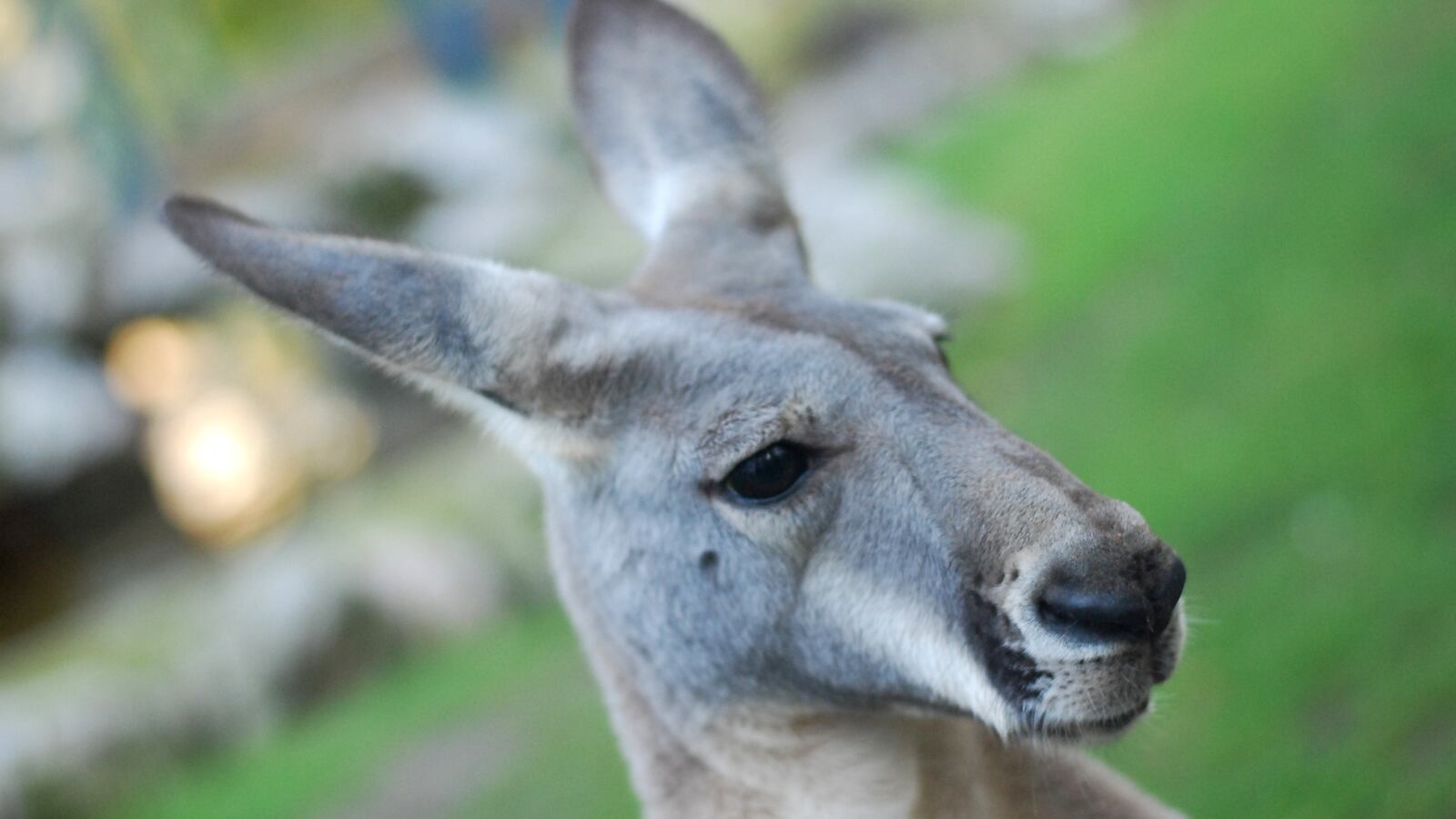 GettyImages-691789306_faonhb