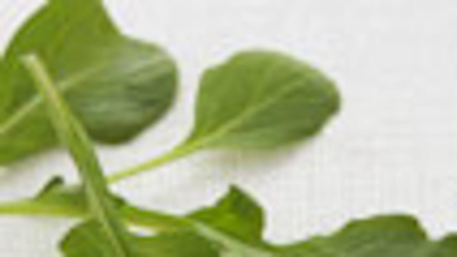 articles/2009/07/28/what-to-eat-5/what-to-eat---papaya-and-arugula-salad_lumwmq