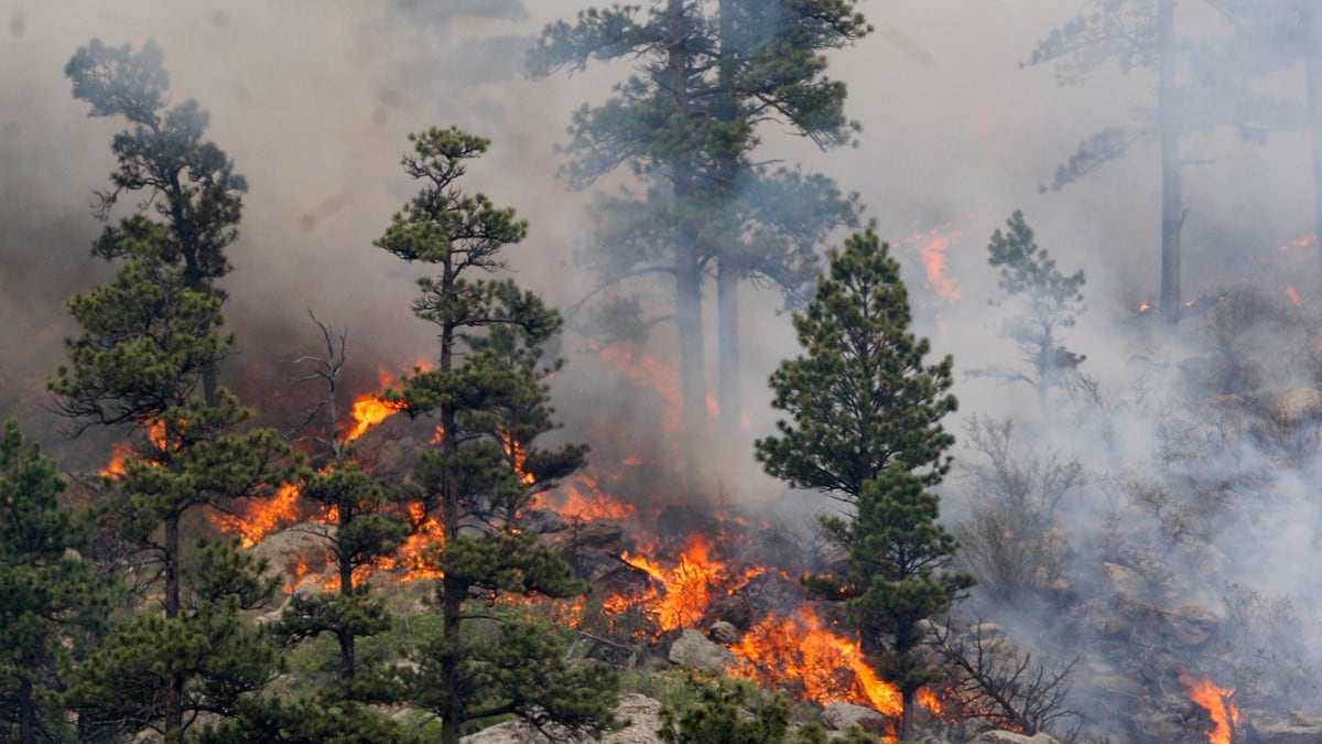 cheats/2012/06/10/colorado-wildfire-rages/wildfire-colorado-high-park-cheat_um2dqc