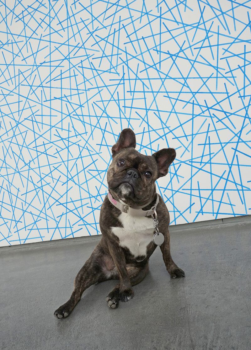 galleries/2015/03/10/meet-pickle-the-art-world-s-favorite-canine-blogger/150309-pickles-art3_c6ra5h