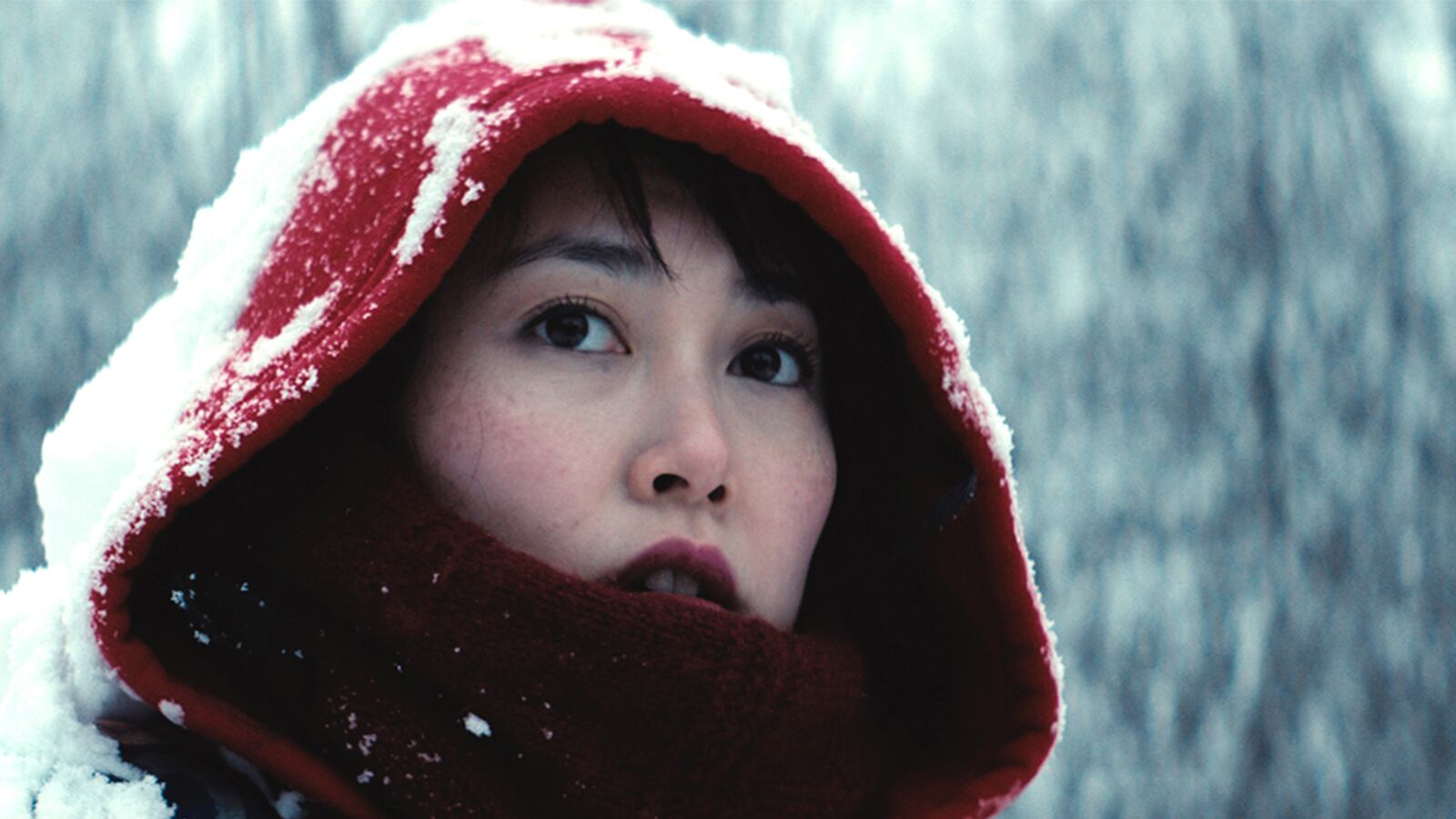 articles/2015/03/24/the-saga-of-kumiko-to-her-fargo-was-real/150323-yamato-kumiko-tease_kbnskt