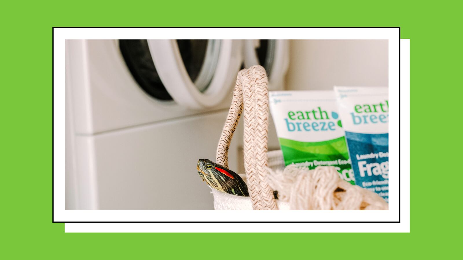 Earth Breeze products in a basket.