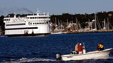 cheats/2009/08/17/the-vineyards-immigrant-backbone/vineyard_lyfdip