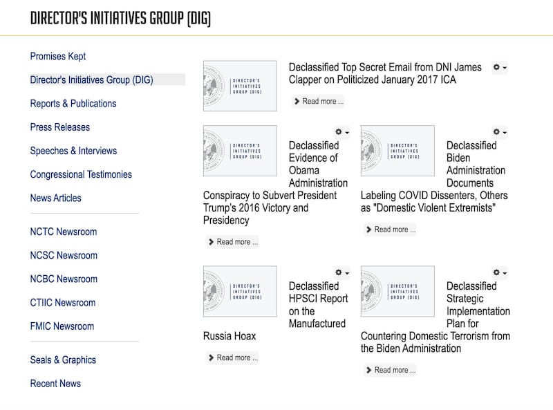 Director's Initiatives Group