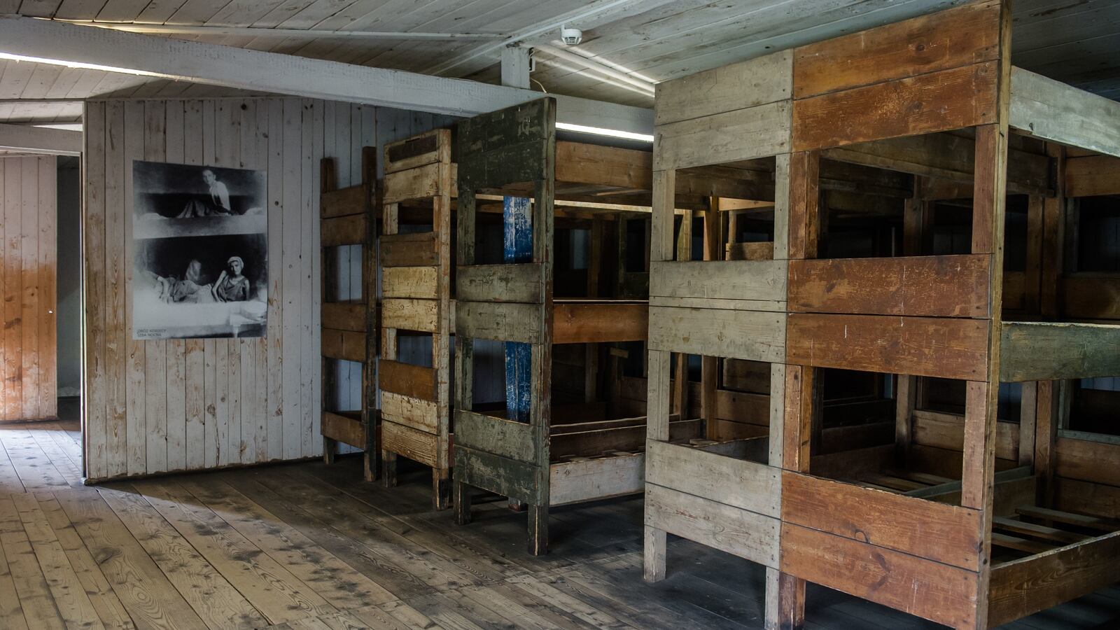 020521-stuthoff-cheat_cyu8kv