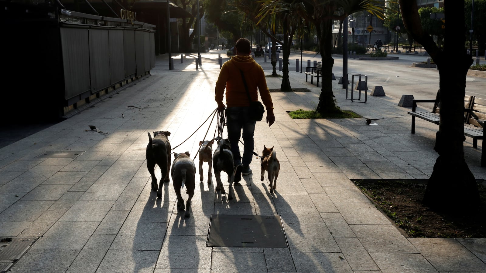 2020-04-09T220909Z_1851929297_RC2A1G9B71UV_RTRMADP_3_HEALTH-CORONAVIRUS-MEXICO-DOGS_fsajdw