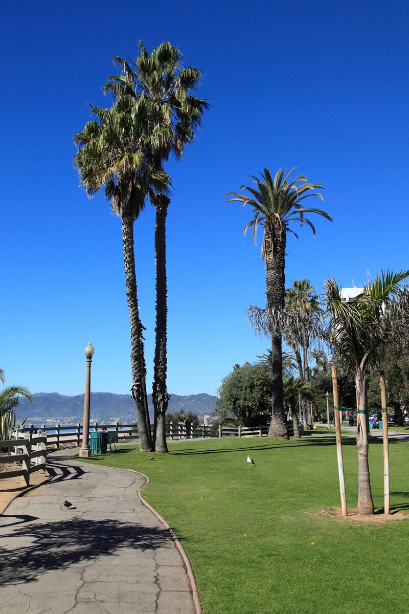galleries/2013/09/01/nine-perfect-picnic-spots-around-the-world-photos/palisades-park-california-wendy-connett-alamy_segymq