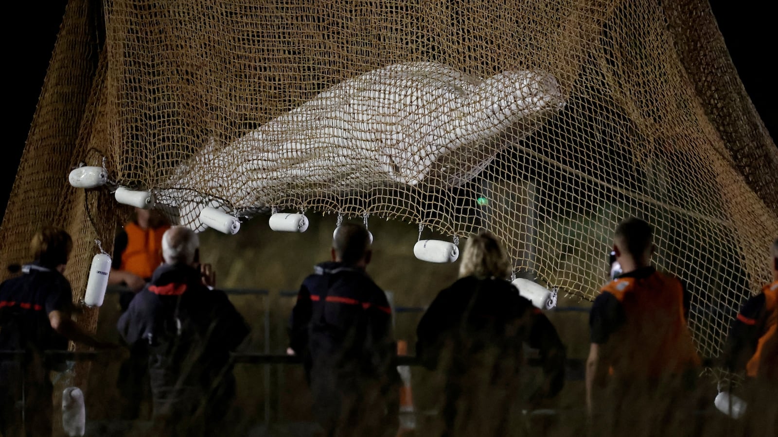 2022-08-10T044116Z_854813617_RC2ETV9ITX8A_RTRMADP_3_FRANCE-WHALE_ogolbu