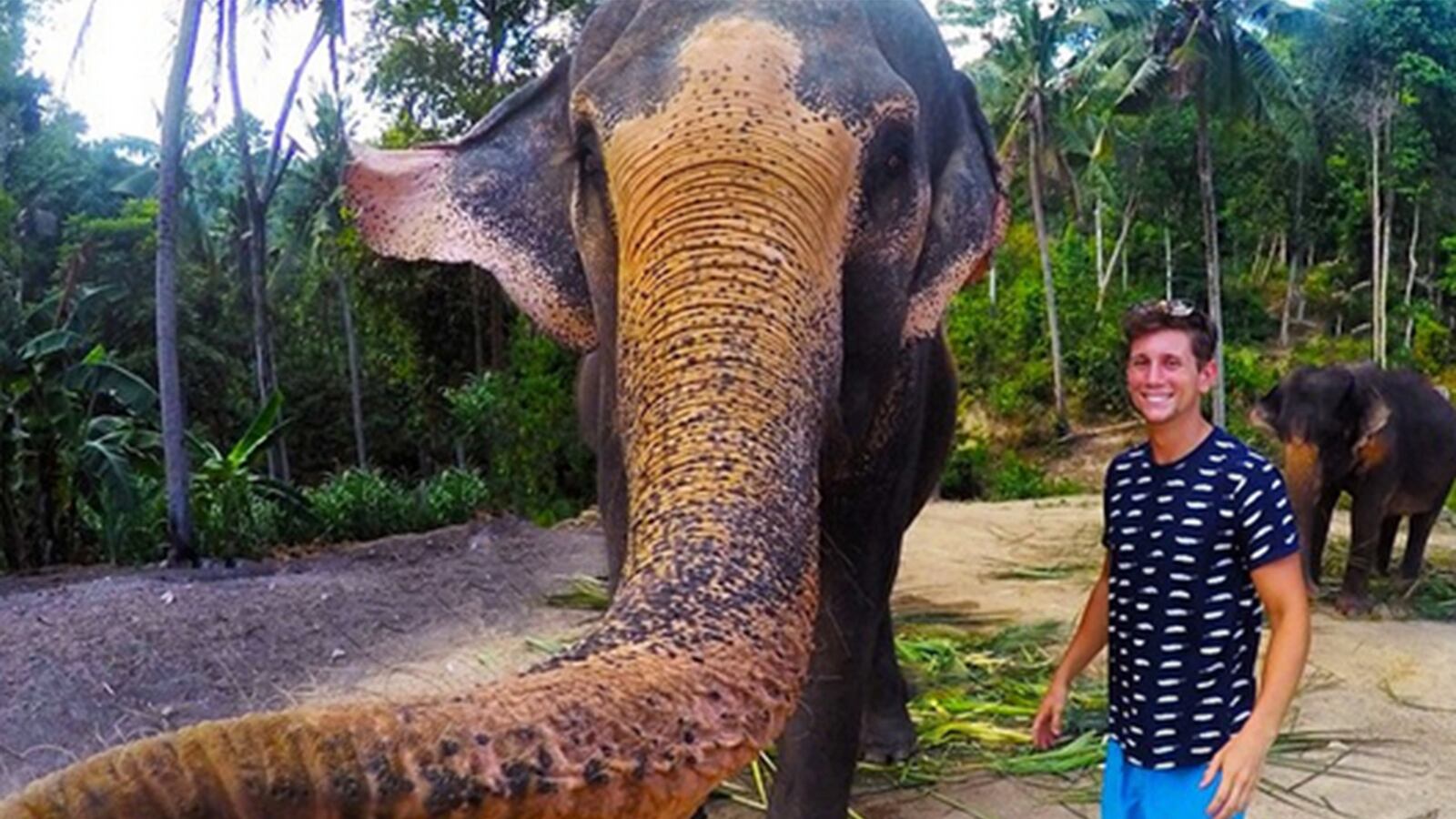 galleries/2015/06/01/when-animals-take-selfies-photos/150601-animal-selfies-tease_saef2g