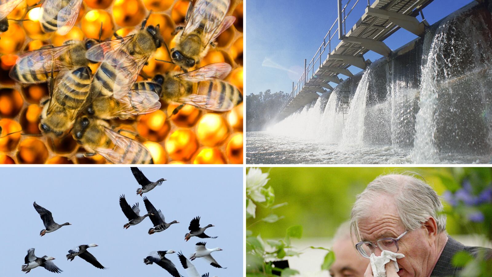 galleries/2012/03/25/nature-gone-awry-tics-plants-birds-oh-my-photos/nature-gone-awry-tease_dzvtyo