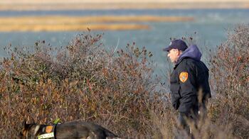 cheats/2011/05/09/two-killers-loose-on-long-island/long-island-killer-bones_yth9rm