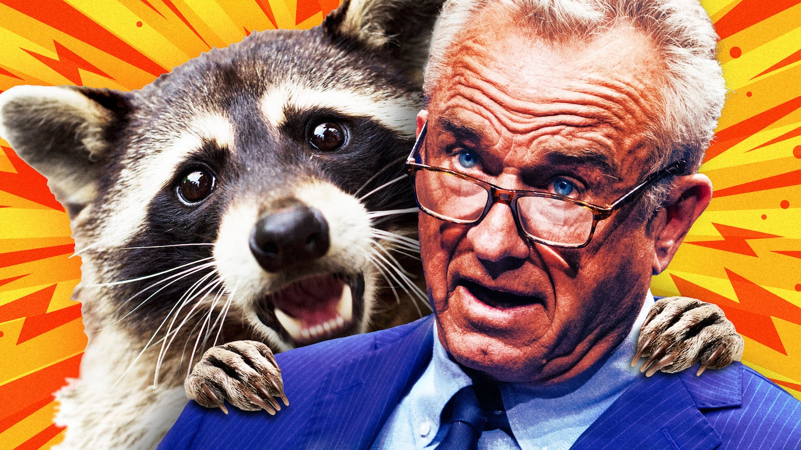 A photo illustration of a screaming raccoon and RFK, Jr.