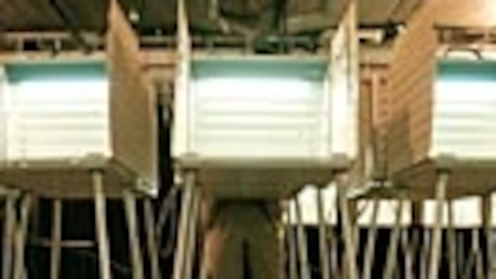 articles/2008/10/07/the-race-factor/schoen-lying-factor_371_u7bjiu