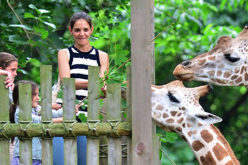 galleries/2012/08/05/suri-cruise-s-guide-to-new-york-city-bronx-zoo-pastis-more-photos/suri-cruise-bronx-zoo_czjxew