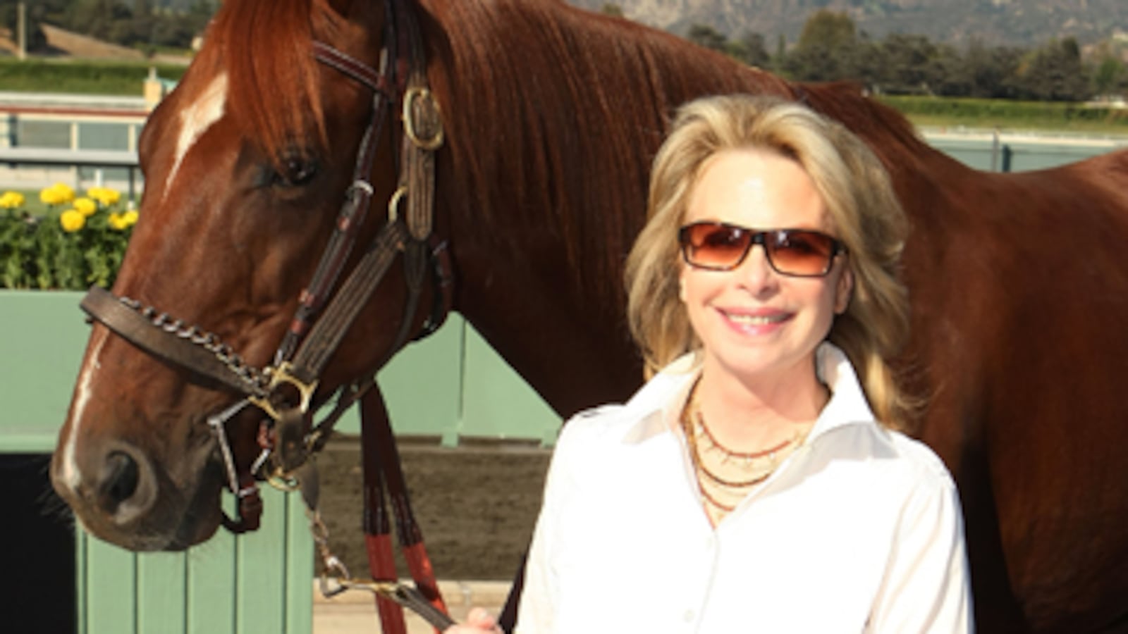 articles/2010/12/06/hollywood-publicist-ronni-chasen-murder-exclusive-new-clue/bardach-chasen_145387_fn51ip