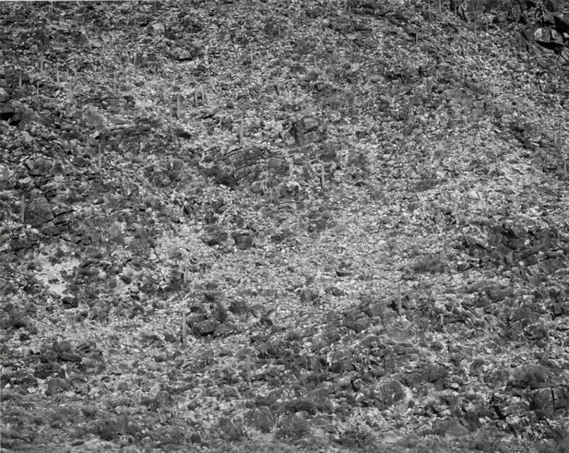 galleries/2011/08/14/modernist-photography-exhibit-boston-mfa-photos/boston-mfa-gallery12_szaigk