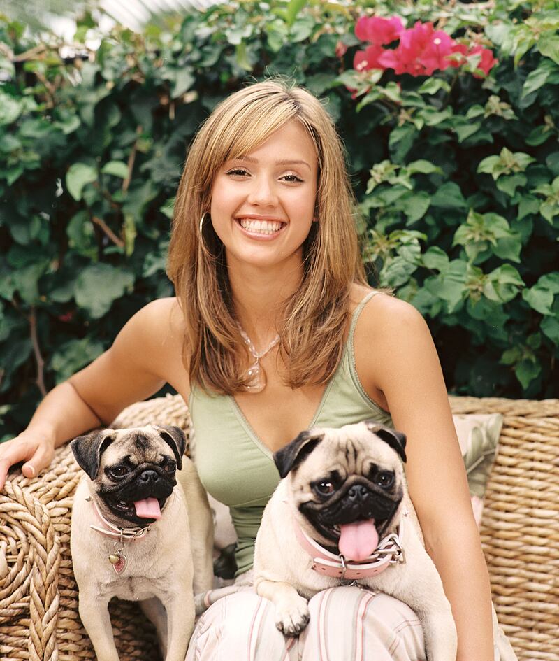 galleries/2013/02/01/ben-affleck-s-dog-and-more-celebrity-pets-with-famous-names-photos/jessica-alba-celeb-dog-names_xheqno