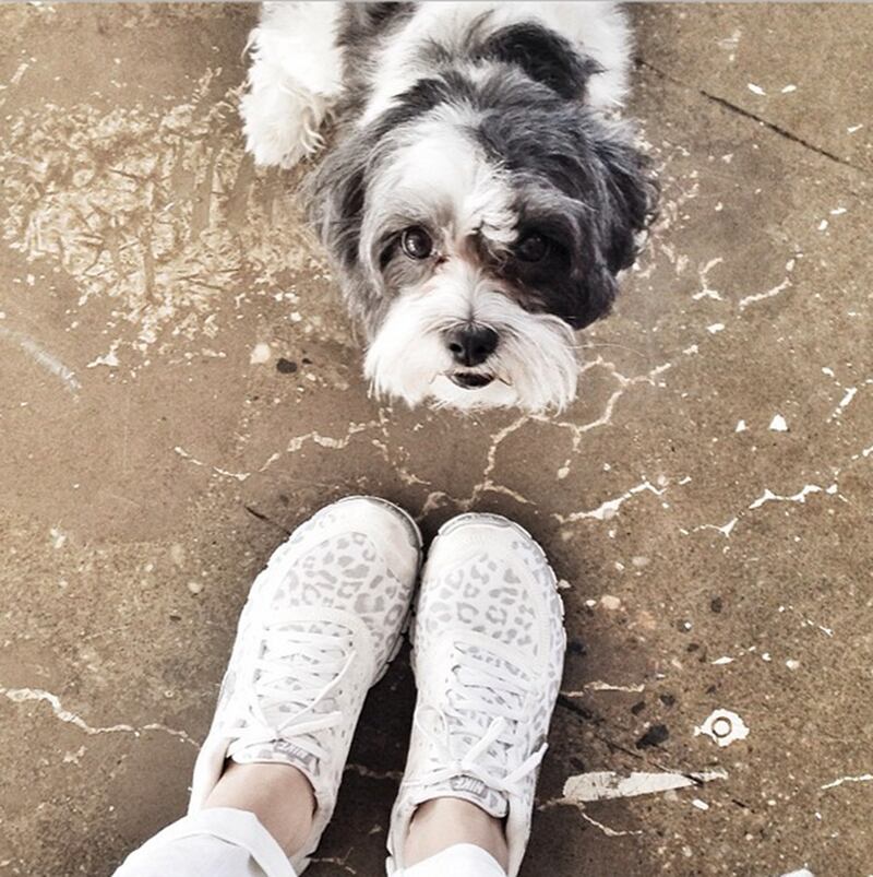 galleries/2014/02/01/from-joan-smalls-to-eva-chen-the-11-best-fashion-instagrams/140131-fashion-instas-garancedore_q7ehwj