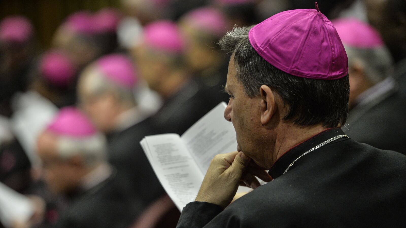 cheats/2014/10/18/bishops-scrap-welcome-to-gays/41018-bishops-cheat_lpgmfv