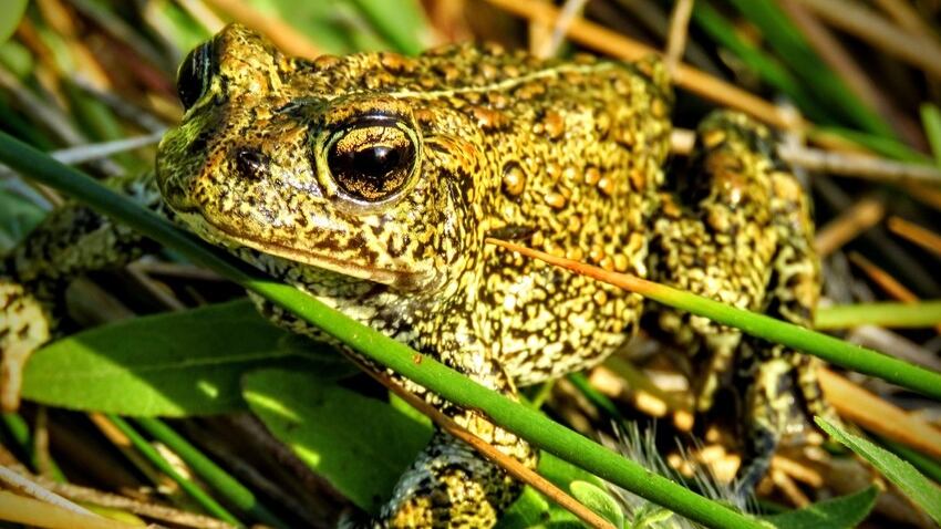 12020scr_b504180d53783a8_cfd7mc