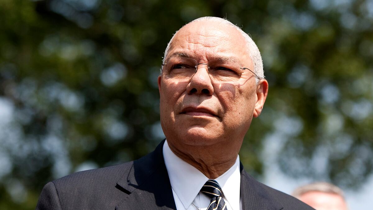 cheats/2012/05/23/colin-powell-supports-gay-marriage/famous-anchor-babies-gal-colin_s0y7sn