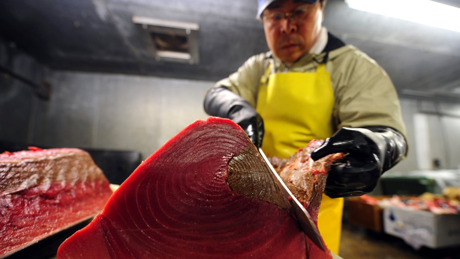 articles/2012/05/30/radioactive-tuna-won-t-kill-you-but-should-we-be-concerned-about-mercury/radioactive-tuna-stone_wld5tk