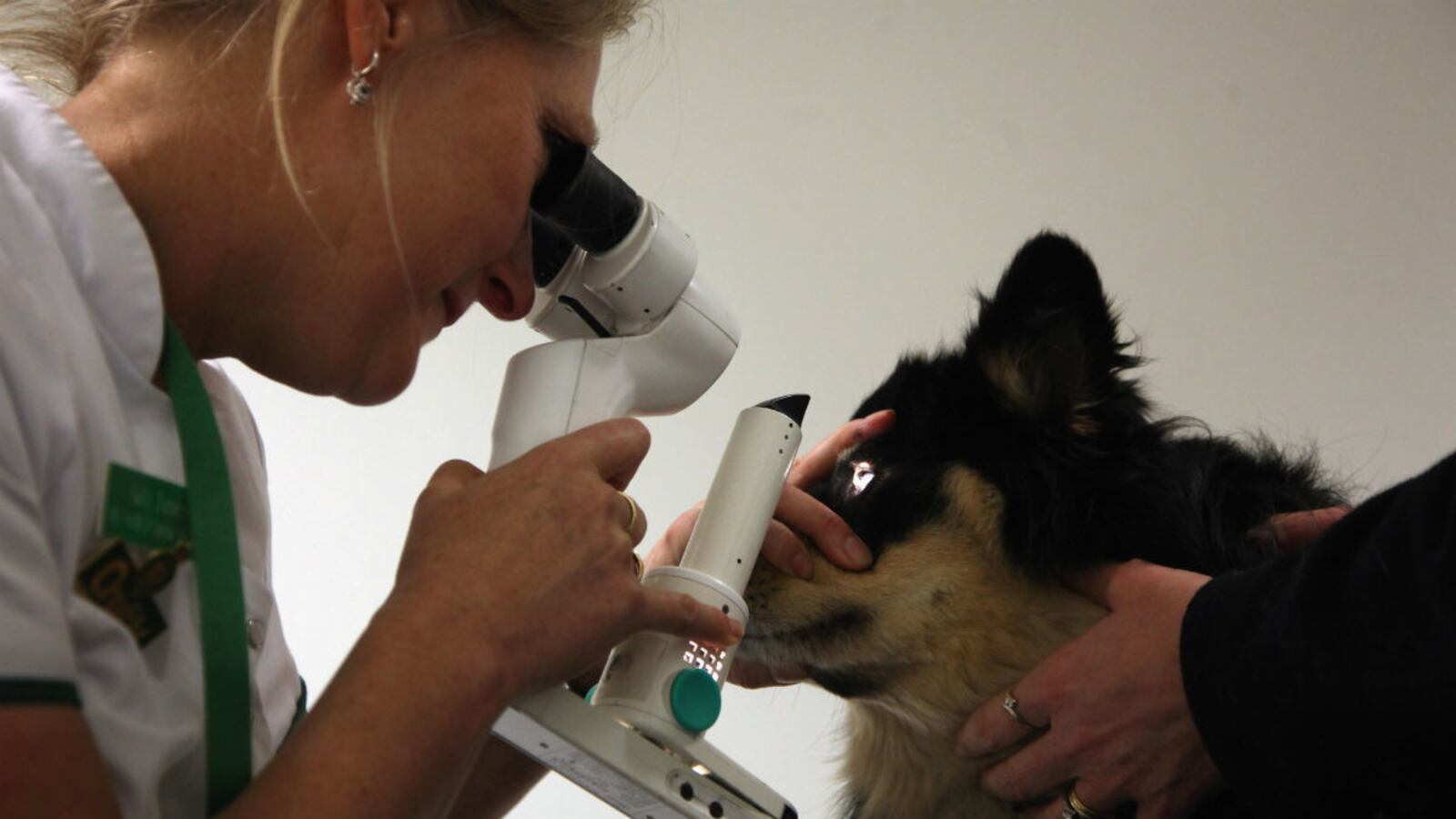 articles/2012/04/30/dog-healthcare/dog-care_ugd4ha