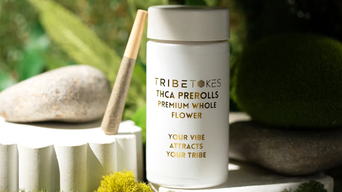 TribeTokes THCA pre-rolls case and pre-roll in front of a nature background