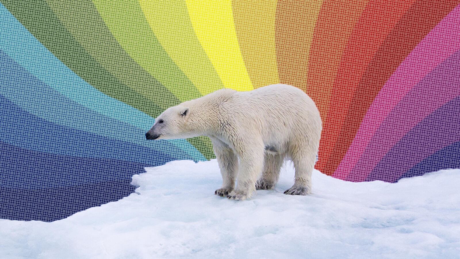 articles/2014/09/21/is-caring-about-climate-change-an-essential-part-of-lgbt-identity/140919-michaelson-gay-climate-tease_z5a13c