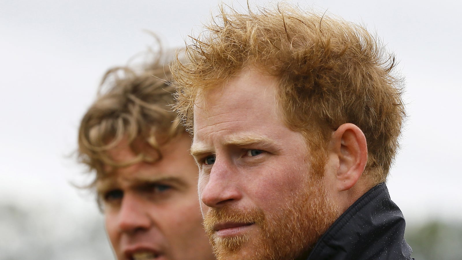 articles/2015/09/22/ginger-supremacist-convicted-for-plot-to-make-prince-harry-king/150922-hines-ginger-tease_bqgszv