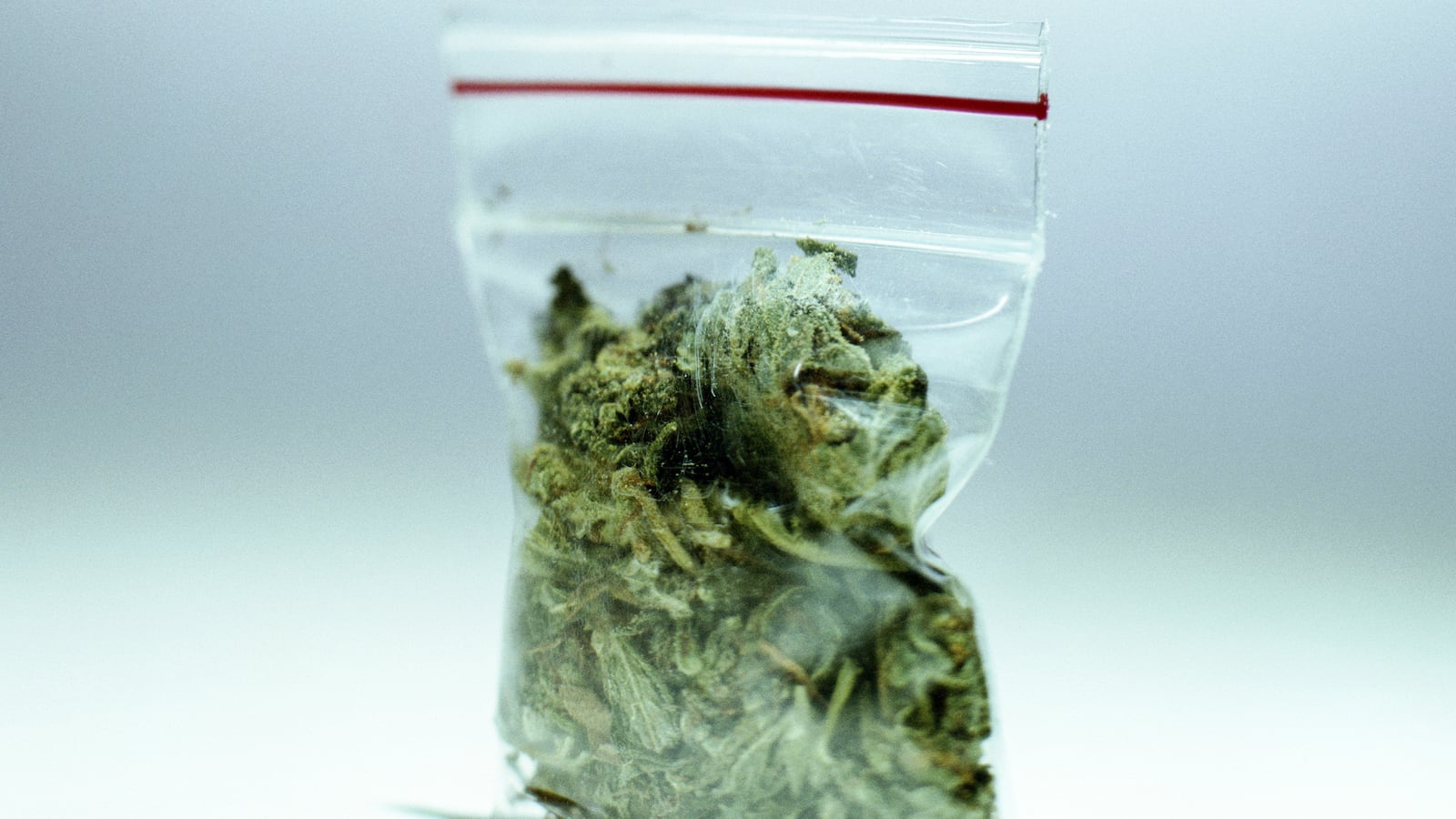 cheats/2013/08/31/marijuana-wrapped-arrow-shot-into-jail/130829-weird-cheat-sheet-weedarrow_fp2opd