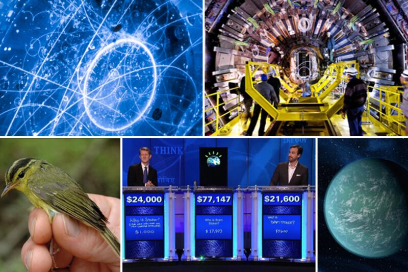 galleries/2011/12/26/scientific-advances-of-2011/scientific-advances-big-small-2011-gal-tease_k1i9vi