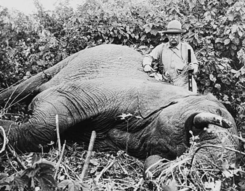 articles/2010/11/23/colonel-roosevelt-by-edmund-morris-review/kazin-roosevelt_143080_is8rjp