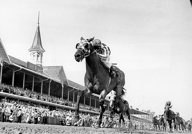 galleries/2011/05/05/top-racehorses/top-racehorses---riva-ridge_f1oykd