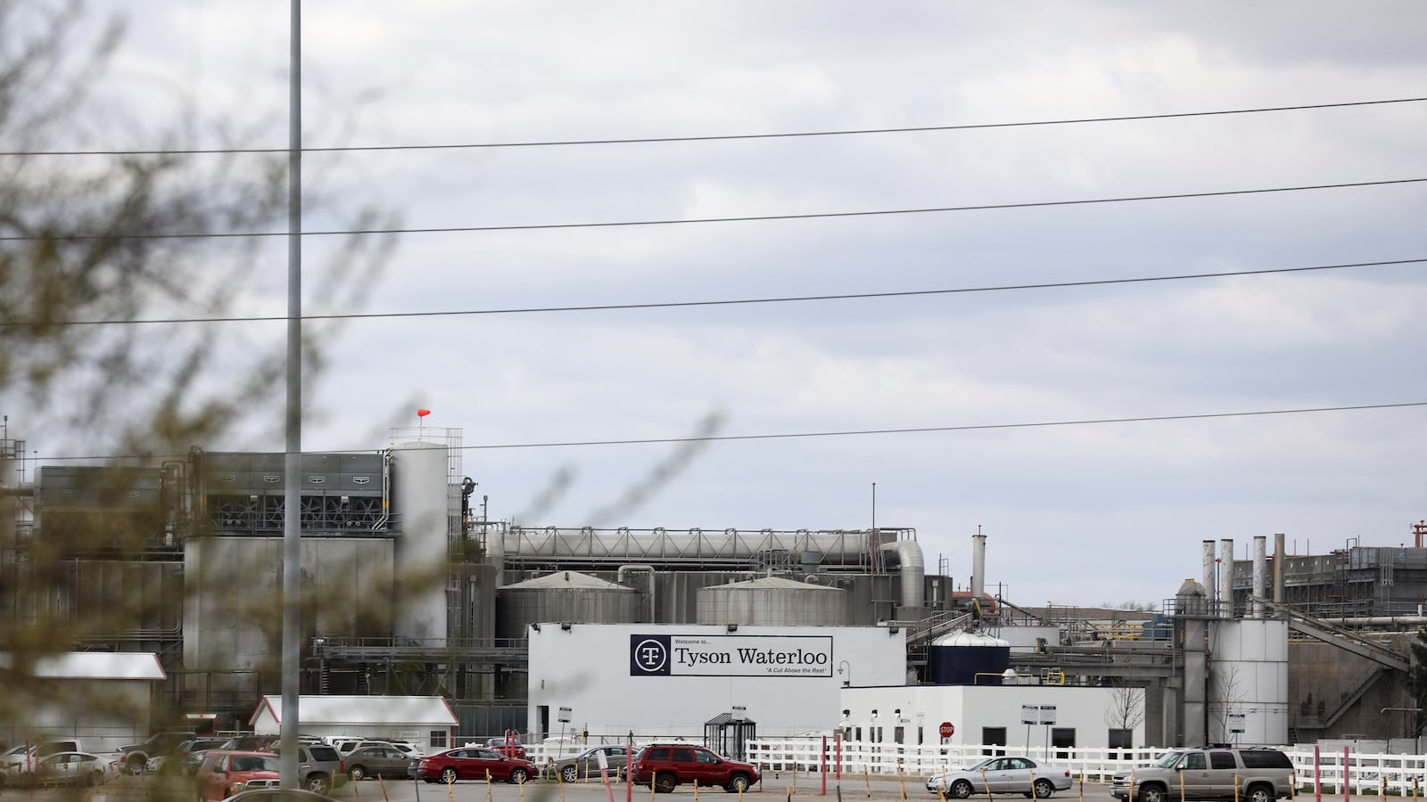 2020-04-29T233734Z_1774667195_RC2NEG9C8PUQ_RTRMADP_3_HEALTH-CORONAVIRUS-LIVESTOCK_j8lkww