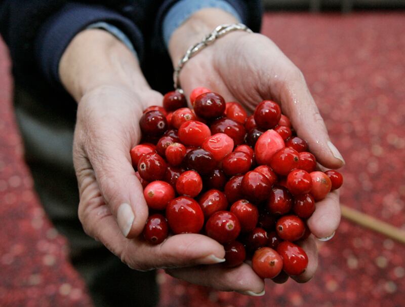 galleries/2011/11/29/20-fattening-holiday-drinks-photos/holiday-drinks-garnet-punch_h7jxf4