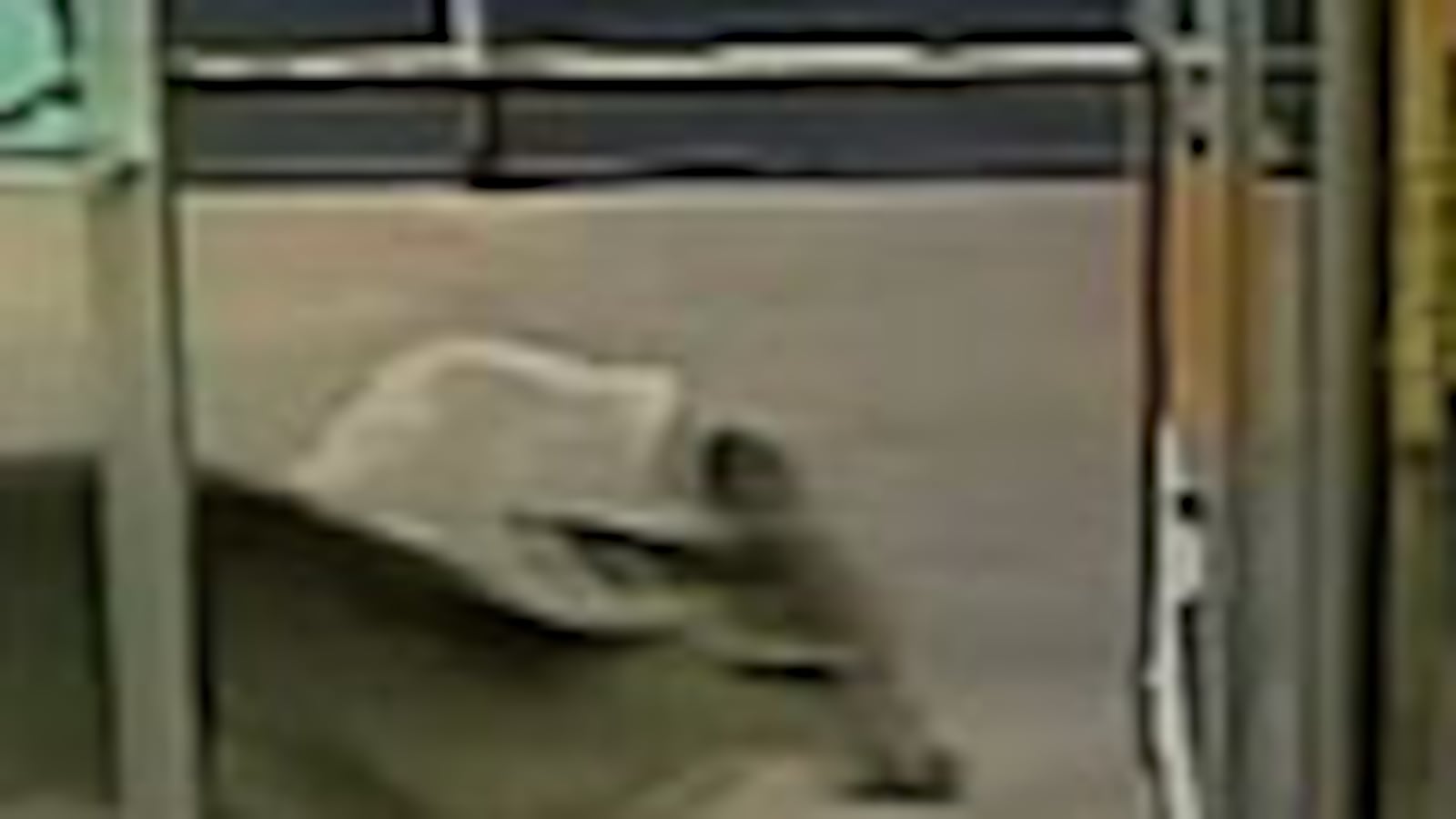 videos/2009/03/14/deer-go-on-beer-run/early-show-deer-beer_17842_nmuak6